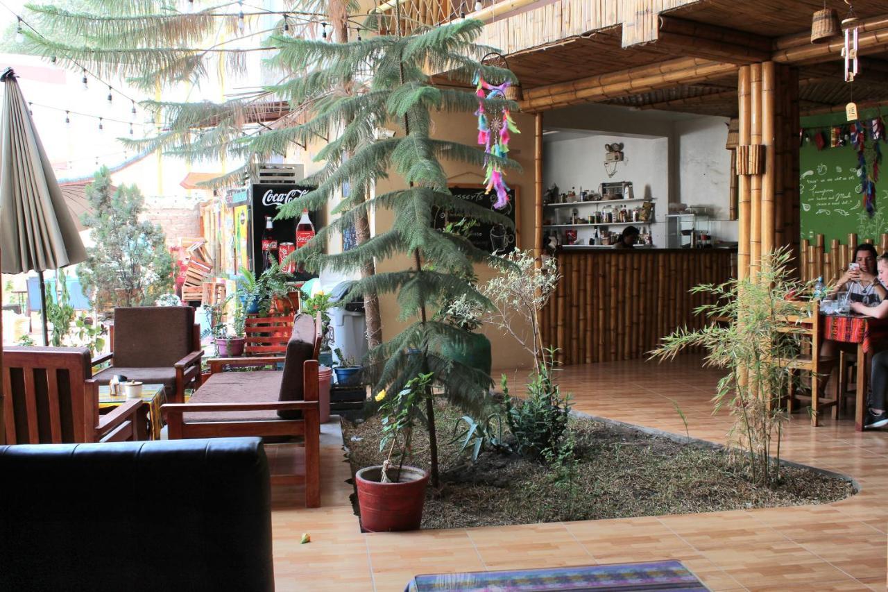 La Casa De Bamboo Ica Exterior foto